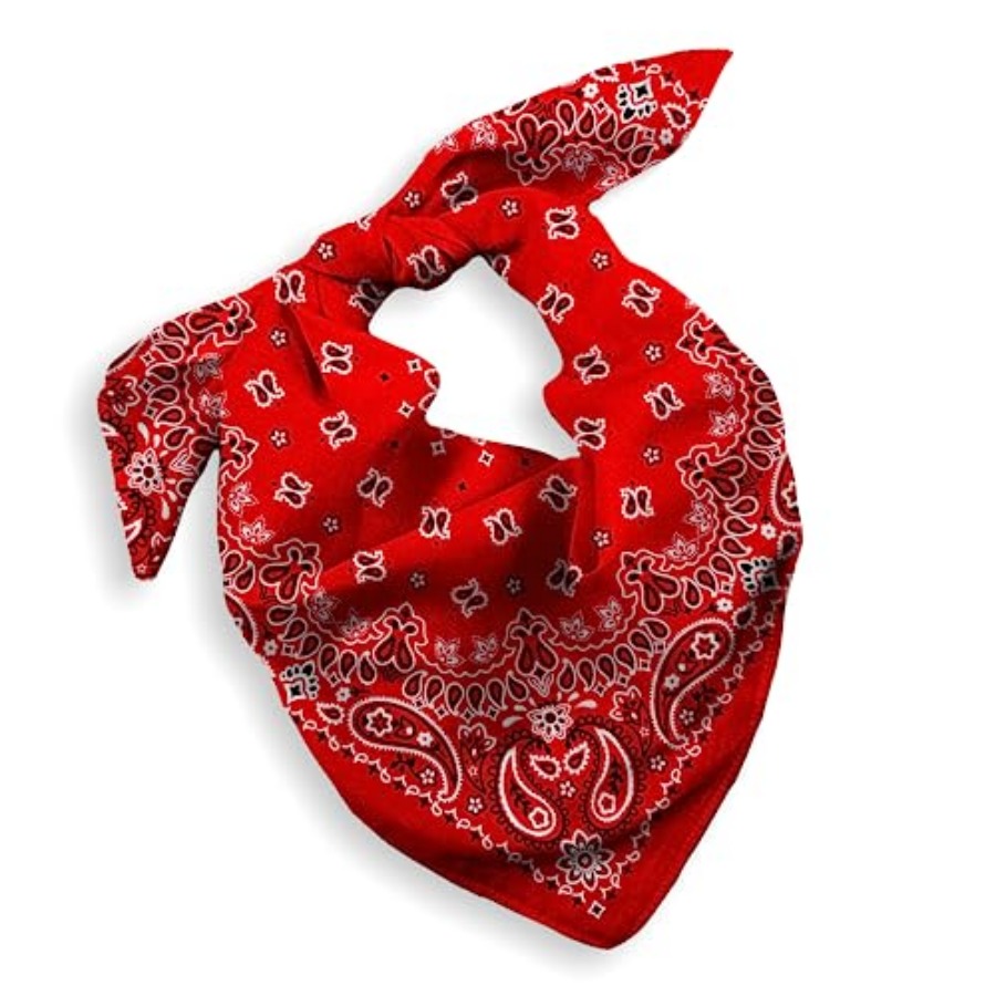 Gift Packaging Bandana for Men - Handkerchief Cotton Men recensie en prijs