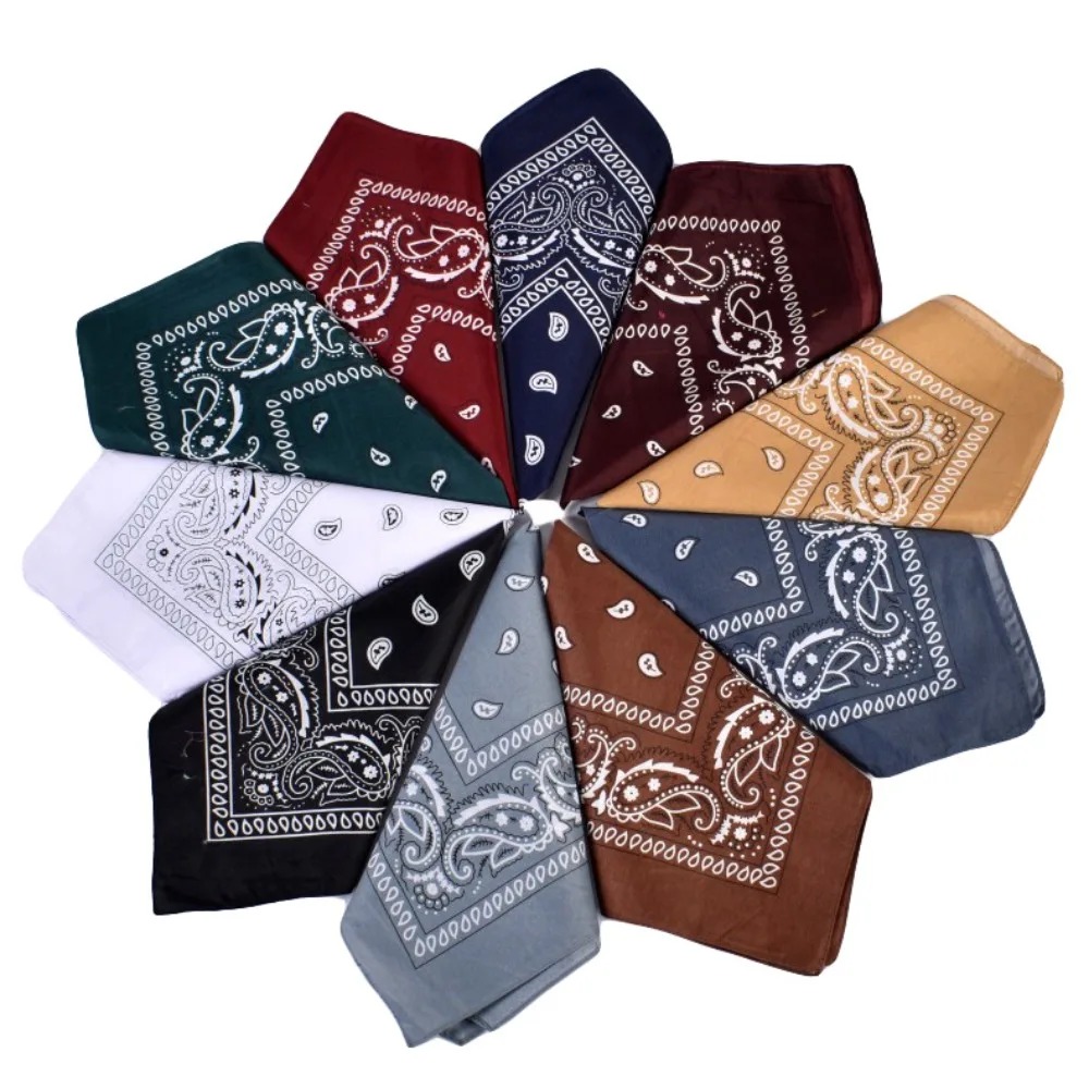 Hip Hop Cowboy Paisley Scarf L - Face Scarf Mask recensie en prijs
