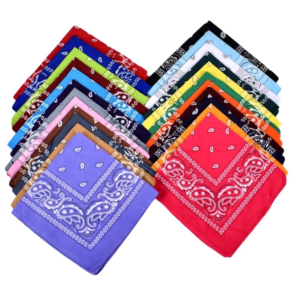 Hip Hop Cowboy Paisley Scarf L - Face Scarf Mask recensie en prijs